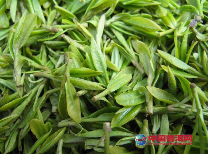 <u><a href='http://www.puer10000.com/puerzhishi/32854.html' target='_blank'>普洱<u><a href='http://www.puer10000.com/puerzhishi/100997.html' target='_blank'>茶</a></u></a></u>