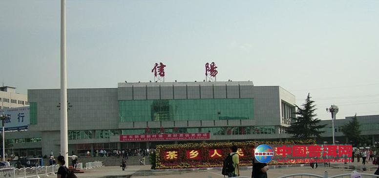 普洱茶