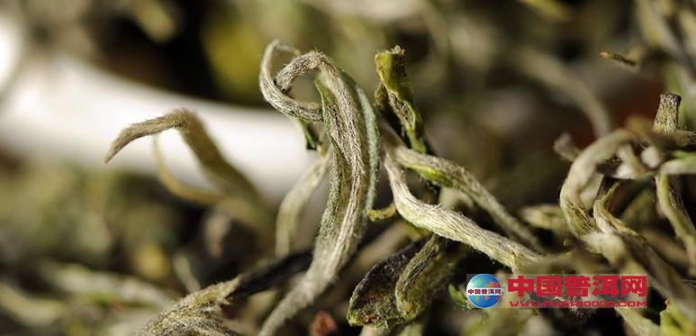 普洱茶