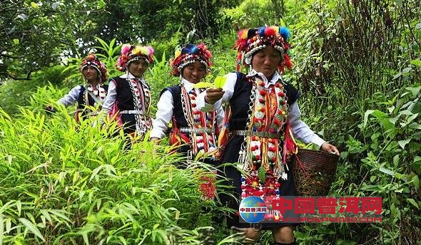 <u><a href='http://www.puer10000.com/puerzhishi/32854.html' target='_blank'>ն<u><a href='http://www.puer10000.com/puerzhishi/100997.html' target='_blank'></a></u></a></u>