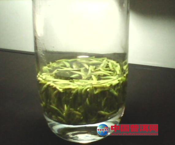 普洱茶