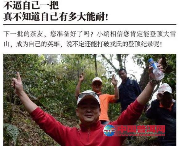 普洱茶