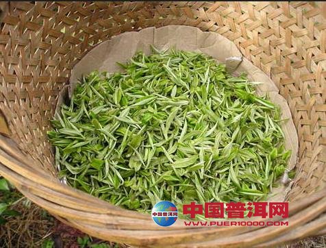 <u><a href='http://www.puer10000.com/puerzhishi/32854.html' target='_blank'>ն<u><a href='http://www.puer10000.com/puerzhishi/100997.html' target='_blank'></a></u></a></u>