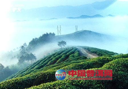 <u><a href='http://www.puer10000.com/puerzhishi/32854.html' target='_blank'>普洱<u><a href='http://www.puer10000.com/puerzhishi/100997.html' target='_blank'>茶</a></u></a></u>