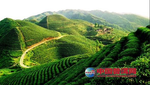 <u><a href='http://www.puer10000.com/puerzhishi/32854.html' target='_blank'>普洱<u><a href='http://www.puer10000.com/puerzhishi/100997.html' target='_blank'>茶</a></u></a></u>