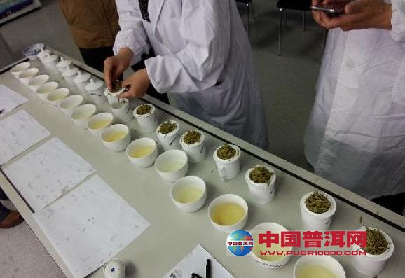 普洱茶