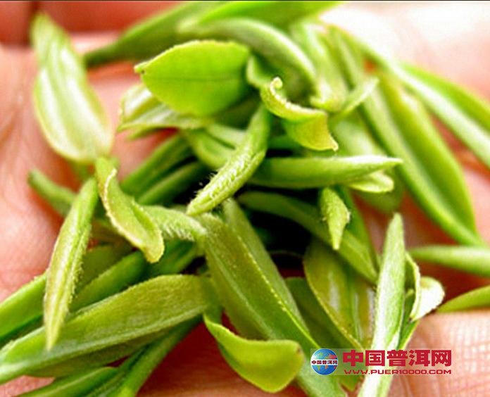 <u><a href='http://www.puer10000.com/puerzhishi/32854.html' target='_blank'>普洱<u><a href='http://www.puer10000.com/puerzhishi/100997.html' target='_blank'>茶</a></u></a></u>