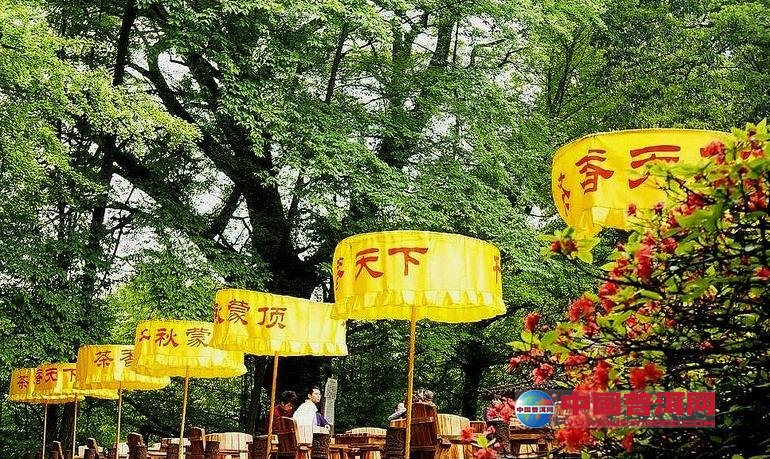 <u><a href='http://www.puer10000.com/puerzhishi/32854.html' target='_blank'>普洱<u><a href='http://www.puer10000.com/puerzhishi/100997.html' target='_blank'>茶</a></u></a></u>
