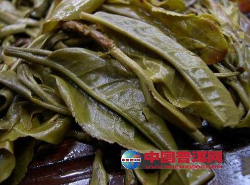 普洱茶