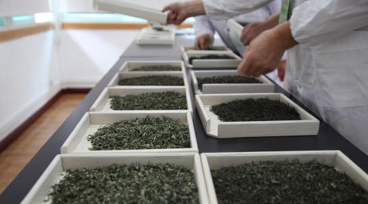 普洱茶