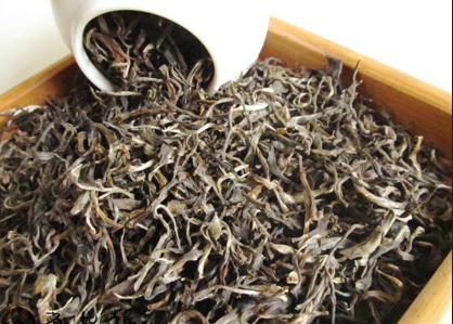 普洱茶