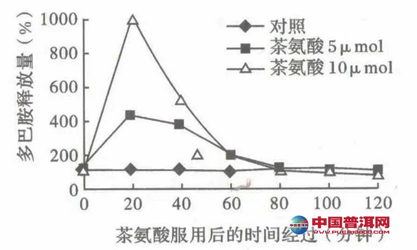 普洱茶