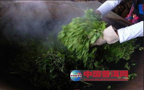 普洱茶