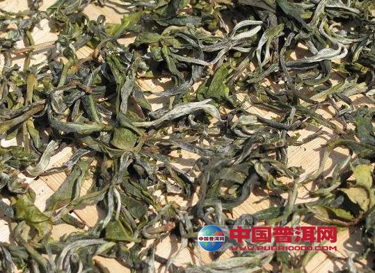普洱茶