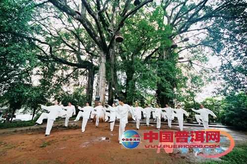 本报记者 马洁/文 杨志坚/图 本报记者 马洁/文 杨志坚/图