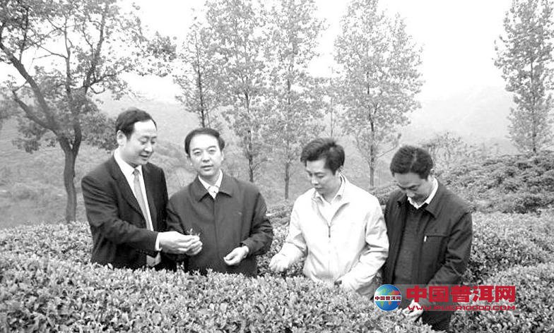 普洱茶