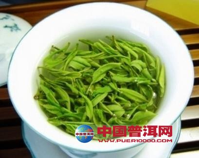 普洱茶