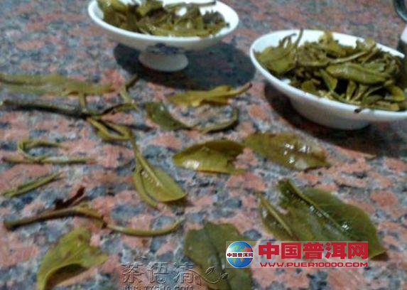 <u><a href='http://www.puer10000.com/puerzhishi/32854.html' target='_blank'>普洱<u><a href='http://www.puer10000.com/puerzhishi/100997.html' target='_blank'>茶</a></u></a></u>
