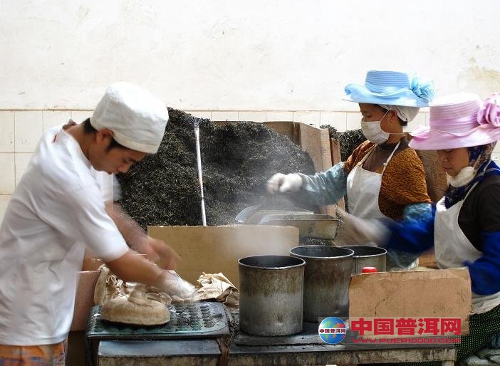 普洱茶