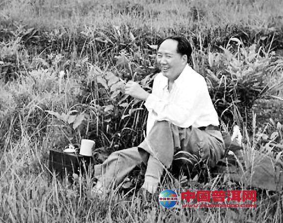 普洱茶