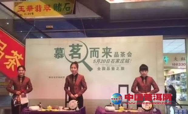 普洱茶