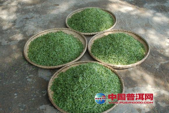 普洱茶