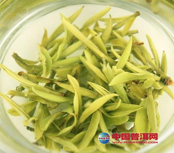 <u><a href='http://www.puer10000.com/puerzhishi/32854.html' target='_blank'>ն<u><a href='http://www.puer10000.com/puerzhishi/100997.html' target='_blank'></a></u></a></u>