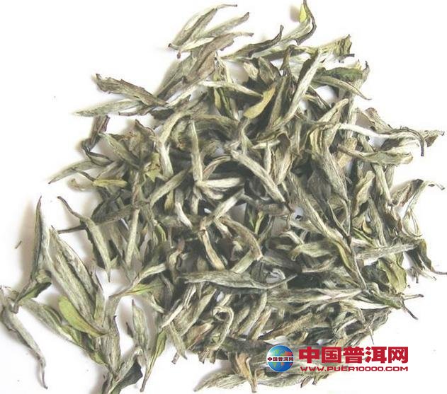 <u><a href='http://www.puer10000.com/puerzhishi/32854.html' target='_blank'>普洱<u><a href='http://www.puer10000.com/puerzhishi/100997.html' target='_blank'>茶</a></u></a></u>