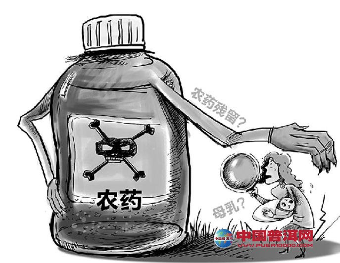 普洱茶