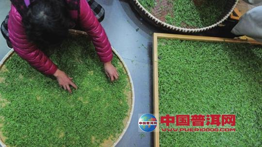 普洱茶
