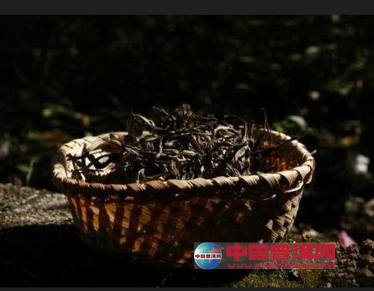 普洱茶