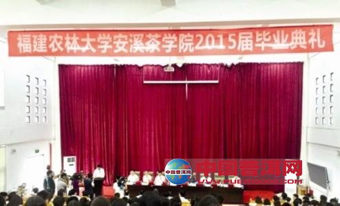普洱茶