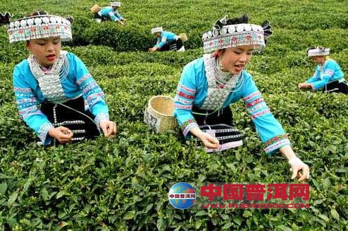 <u><a href='http://www.puer10000.com/puerzhishi/32854.html' target='_blank'>ն<u><a href='http://www.puer10000.com/puerzhishi/100997.html' target='_blank'></a></u></a></u>