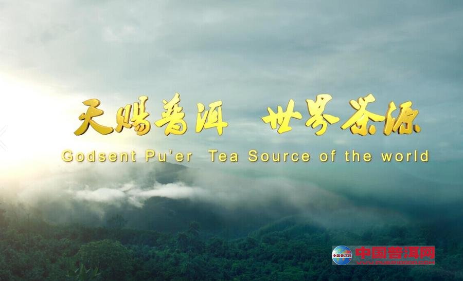 普洱茶