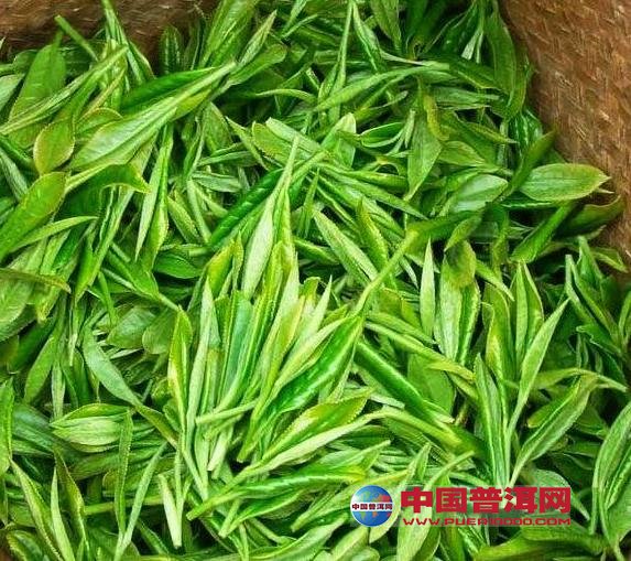 普洱茶