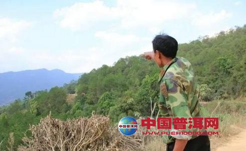 <u><a href='http://www.puer10000.com/puerzhishi/32854.html' target='_blank'>普洱<u><a href='http://www.puer10000.com/puerzhishi/100997.html' target='_blank'>茶</a></u></a></u>