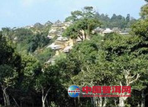 <u><a href='http://www.puer10000.com/puerzhishi/32854.html' target='_blank'>ն<u><a href='http://www.puer10000.com/puerzhishi/100997.html' target='_blank'></a></u></a></u>