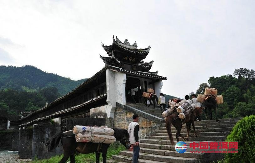 <u><a href='http://www.puer10000.com/puerzhishi/32854.html' target='_blank'>普洱<u><a href='http://www.puer10000.com/puerzhishi/100997.html' target='_blank'>茶</a></u></a></u>