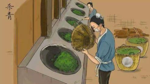 普洱茶