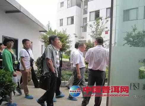 普洱茶