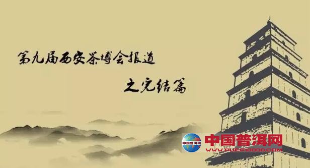 普洱茶
