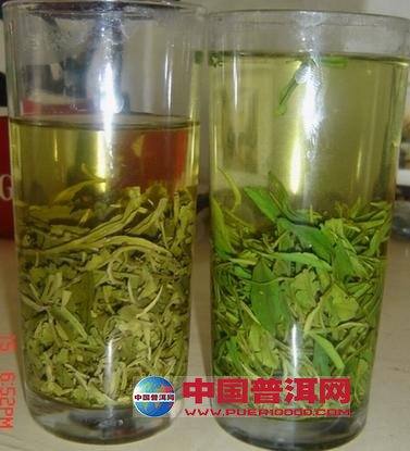 普洱茶