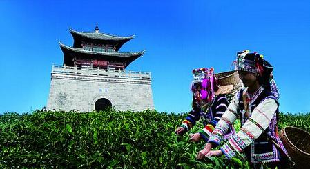 <u><a href='http://www.puer10000.com/puerzhishi/32854.html' target='_blank'>普洱<u><a href='http://www.puer10000.com/puerzhishi/100997.html' target='_blank'>茶</a></u></a></u>