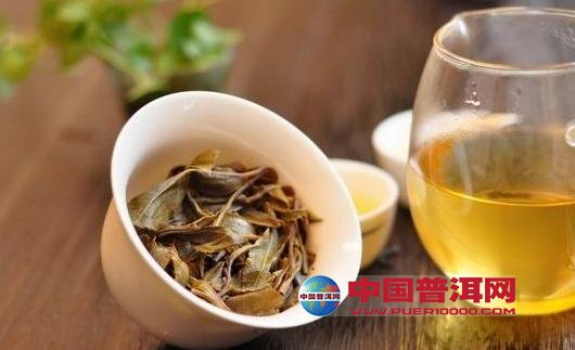 普洱茶