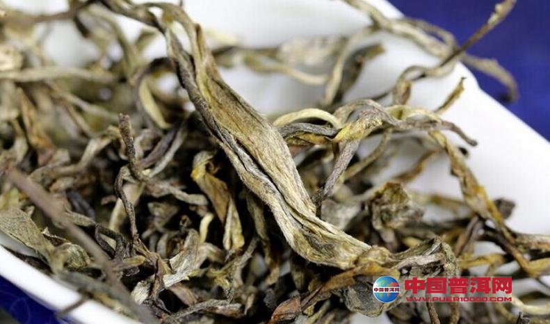 普洱茶