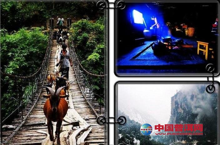 <u><a href='http://www.puer10000.com/puerzhishi/32854.html' target='_blank'>ն<u><a href='http://www.puer10000.com/puerzhishi/100997.html' target='_blank'></a></u></a></u>