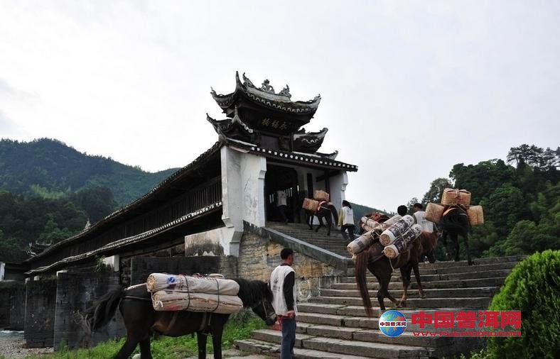 <u><a href='http://www.puer10000.com/puerzhishi/32854.html' target='_blank'>ն<u><a href='http://www.puer10000.com/puerzhishi/100997.html' target='_blank'></a></u></a></u>