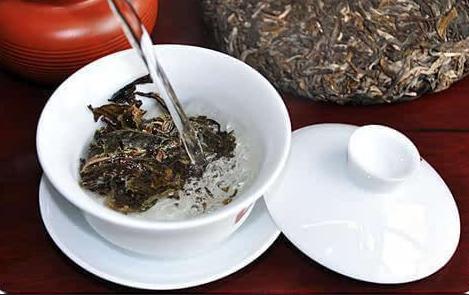 普洱茶