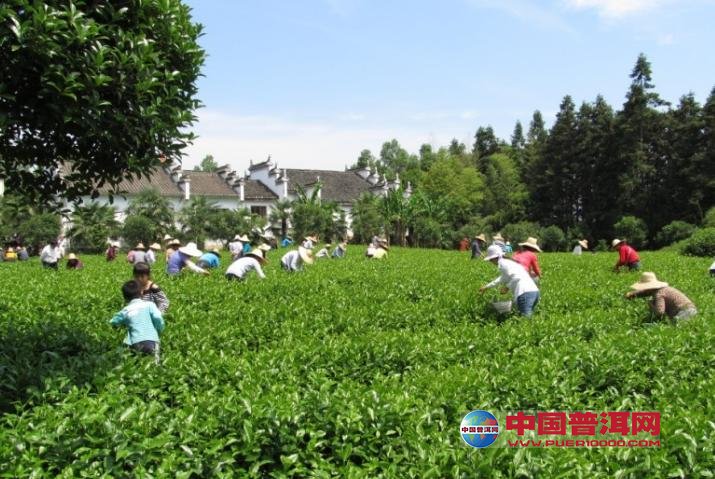 <u><a href='http://www.puer10000.com/puerzhishi/32854.html' target='_blank'>ն<u><a href='http://www.puer10000.com/puerzhishi/100997.html' target='_blank'></a></u></a></u>