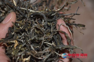 2015年千家寨古树茶毛料批发（